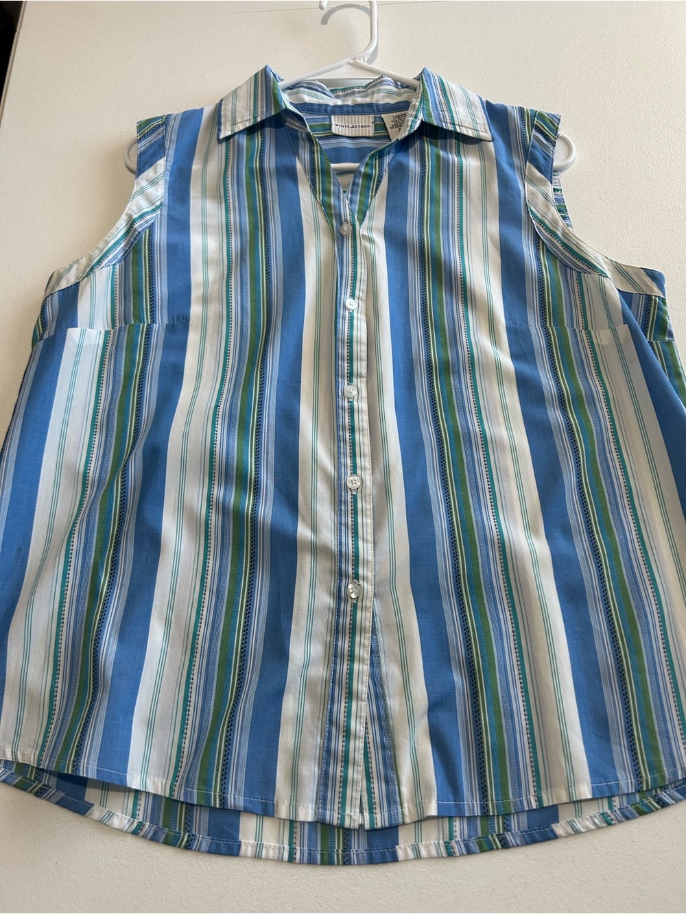 White Stag Blue, White & Green Striped Sleeveless Button-Up Top
